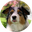 OurHappyTails logo